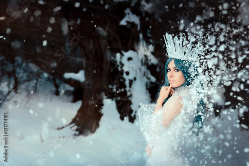 Fotografie, Obraz Snow Queen in Winter Fantasy Landscape