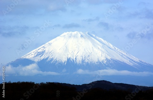 セかい遺産 富士山 撮影地/神奈川県大磯町城山公園