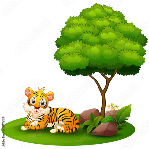 Fototapeta Naklejka Na Ścianę i Meble -  Cartoon tiger lay down under a tree on a white background