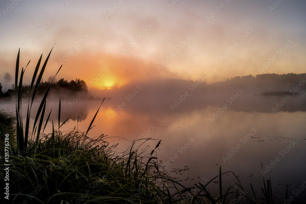 Misty summer morning on the lake.