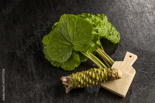 Bild auf Leinwand 天然わさび　 Wasabi Japan