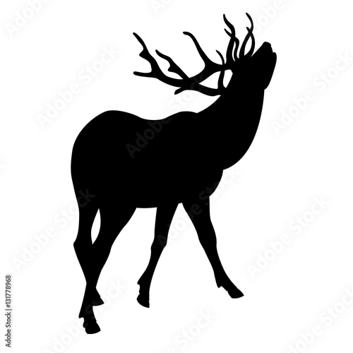 Deer vector illustration  black silhouette