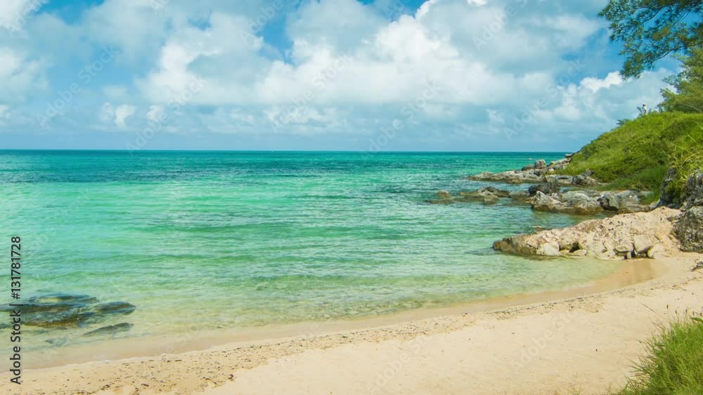 An Idyllic Exotic Beach on the Southern Side of the Bermudan Islands on a Sunny Day, featuring Golden Sand, Lush Green Foliage, Clear Tropical Water and White Clouds in a Blue Sky