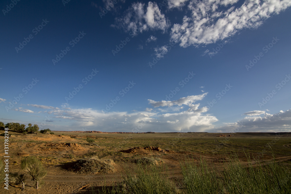 Naklejka premium Wüste Gobi - Mongolei
