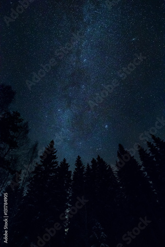 Starry night sky landscape