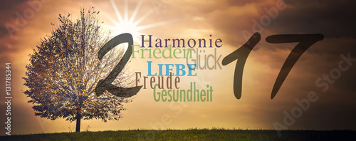 Neujahrskarte 2017