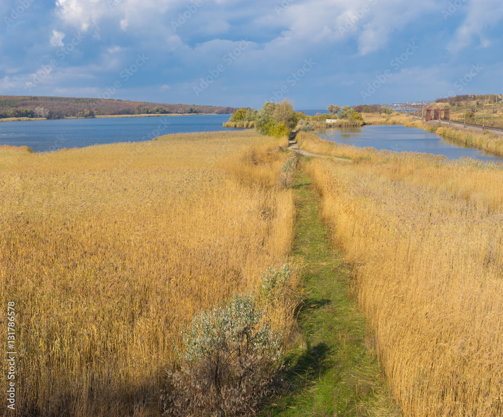 Autumnal landscape with path in rush field near Dnepr river at fall season, Ukraine