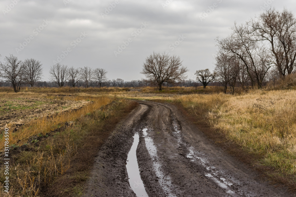 Ukrainian rural dirty earth road in rainy autumnal season