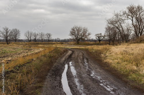 Ukrainian rural dirty earth road in rainy autumnal season