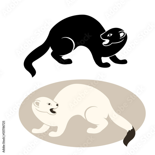 ermine vector illustration style Flat set