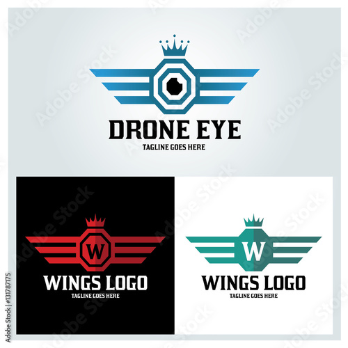 Drone eye logo design template ,Wings logo design concept ,Vector illustration