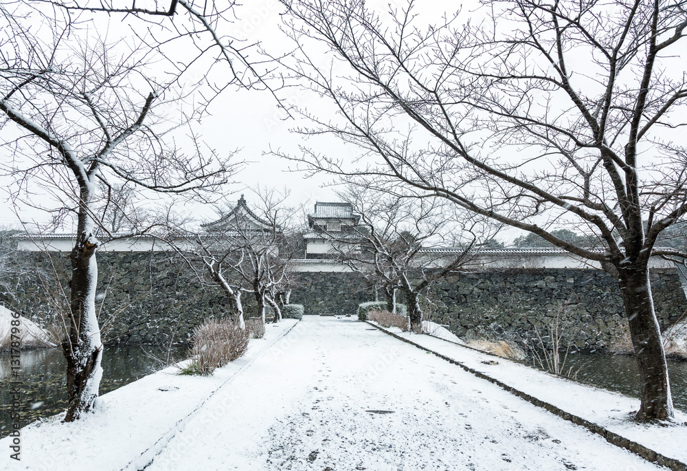 Naklejka premium 福岡城址