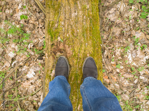 Feet on the tree trunk.
