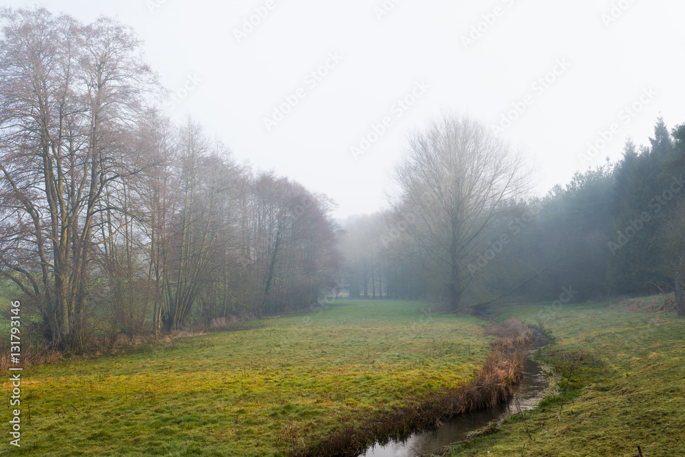 December morning foggy landscape, stream and trees