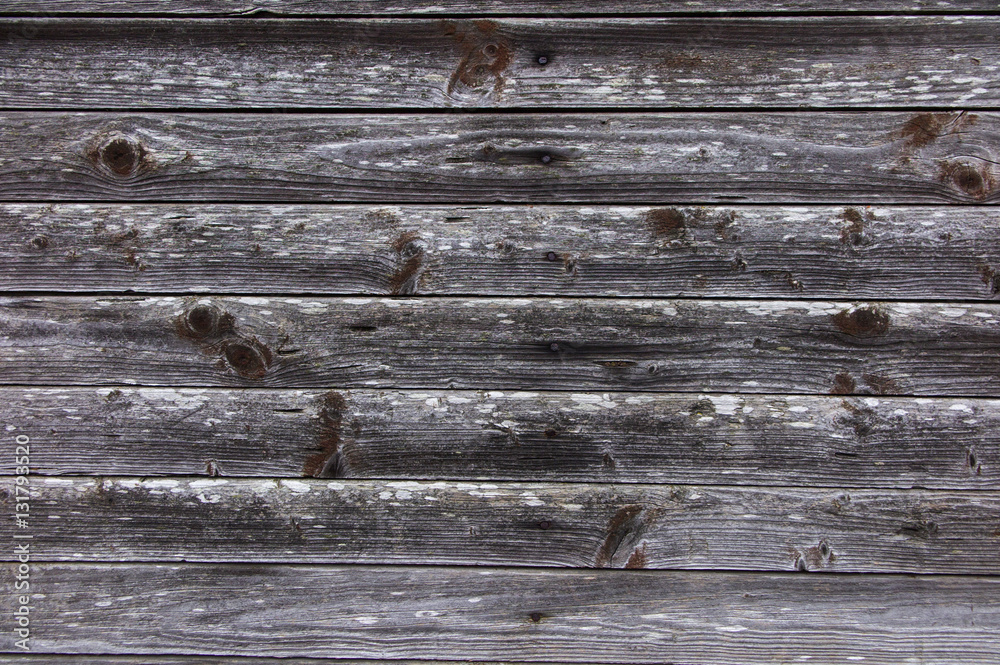 Fototapeta premium Old planks
