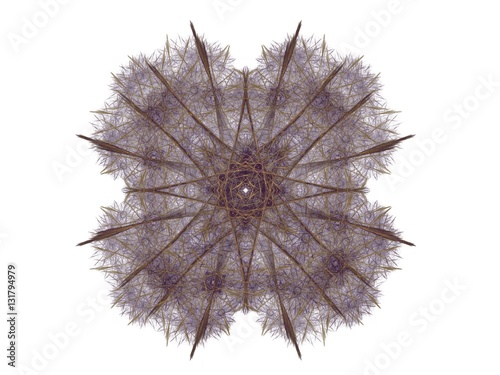 Abstract fractal with purple pattern on white background
