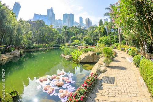 Scenic landscape with fish eye effect of the pond at the lush green garden of Hong Kong Park. On background, modern skyscrapers and towers in Central business district. Sunny day with blue sky.