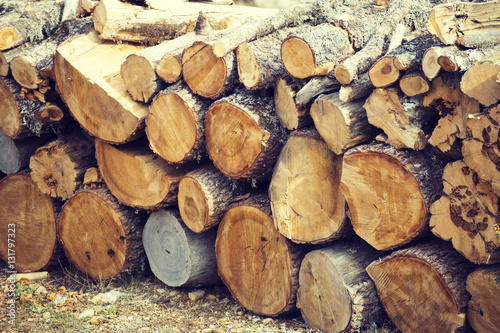 Natural wood background, wood, firewood stacked and ready for us