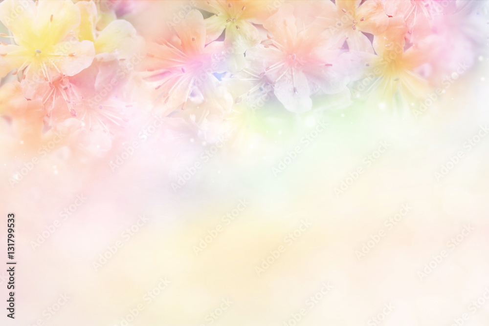 beautiful flower soft background in pastel tone for valentine or wedding 