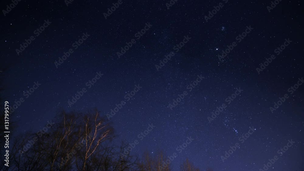 10862 A 4k UHD time lapse of a starry night with light reflections on some trees in foreground. 10862 A 4k UHD time lapse of a starry night with light reflections on some trees in foreground.