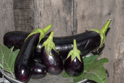 Eggplant purple weigh on the old scale, ripe eggplant, food for sale, small business, agriculture,