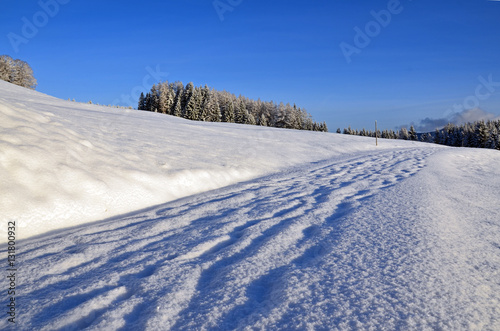 verschneiter Weg