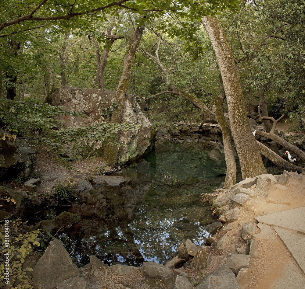 Small lake in the old park in the Crimea. Small lake in the old park in the Crimea.