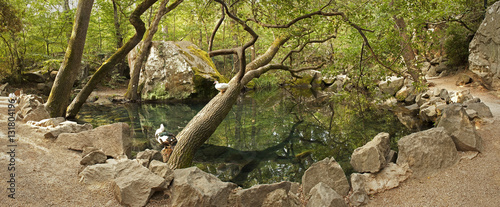 Small lake in the old park in the Crimea.