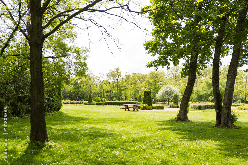 View on danube park with green grass, trees and bench, austria