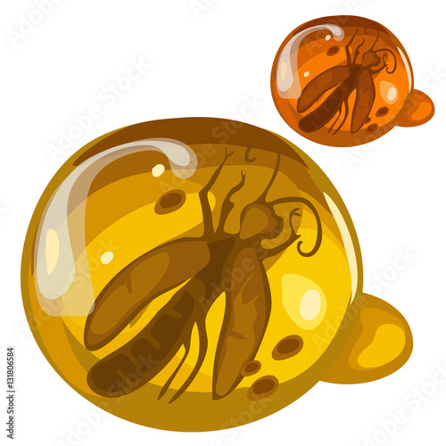 Ancient insect frozen in amber, rare decoration