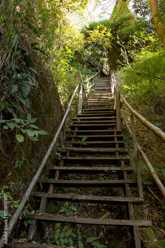 wooden stairs in the forest and mountain