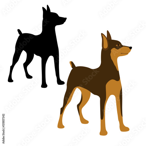 Miniature Pinscher vector illustration style Flat