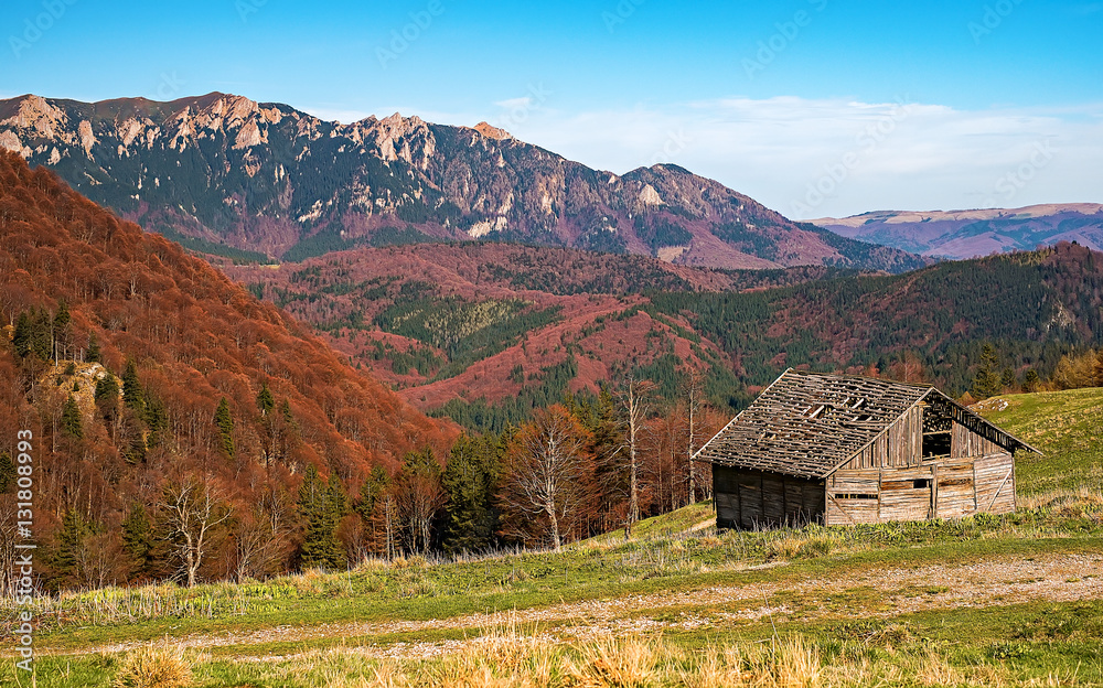 Abandoned old derelict country barn in mountains - Bratocea glade, Ciucas mountains, Brasov county, Romania, 1300m.