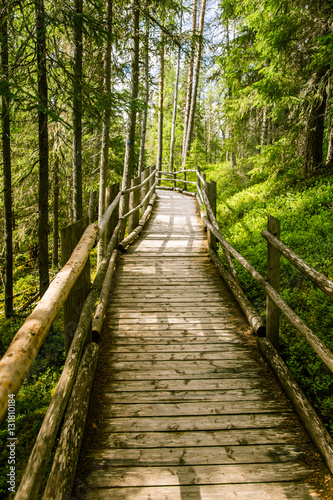 A beautiful wooden bridge in forest of Finland