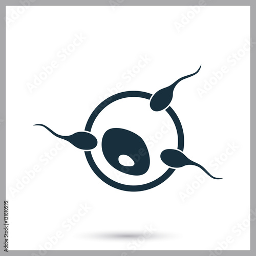 Process of egg fertilization icon. Simple design for web and mobile