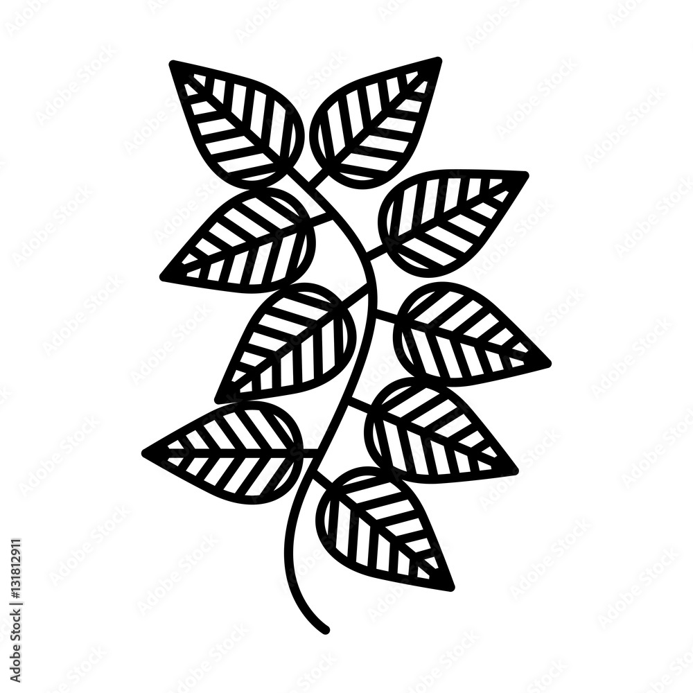 tea leafs isolated icon vector illustration design tea leafs isolated icon vector illustration design