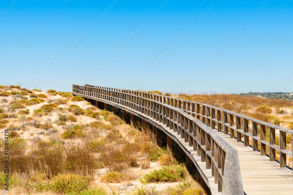 footbridge in the dunes