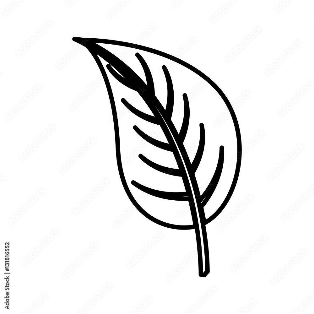 leafs plant isolated icon vector illustration design leafs plant isolated icon vector illustration design