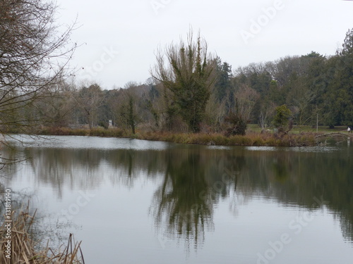 Bord d'un lac en hiver