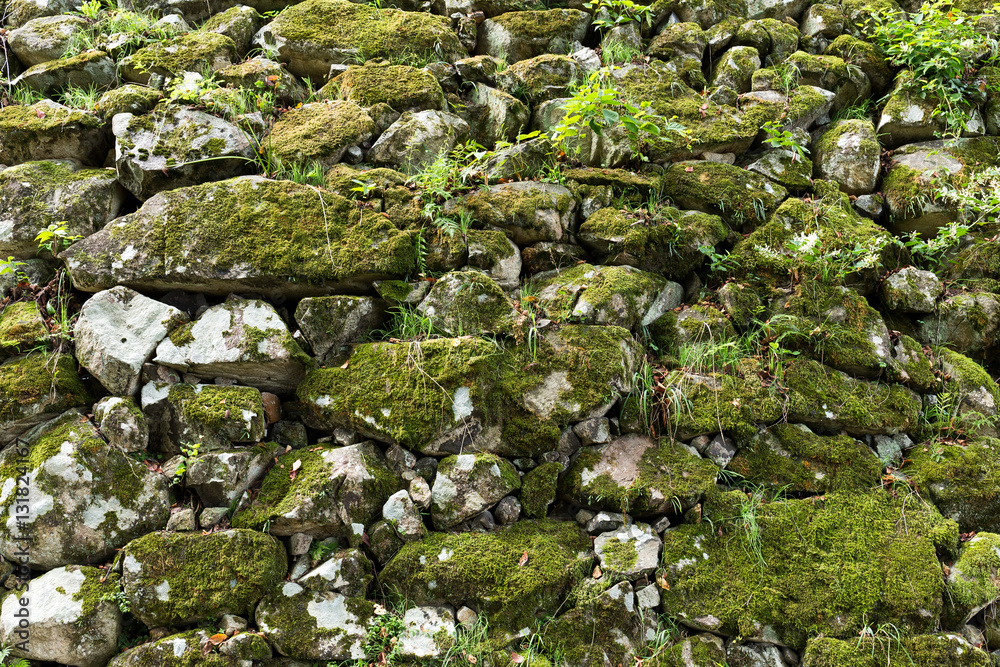 Old stone wall with moss and lichen