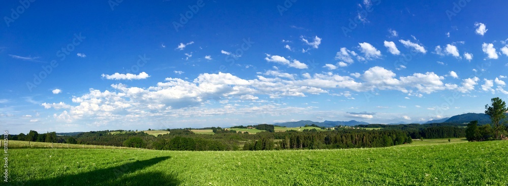 Landschaft grün-blau