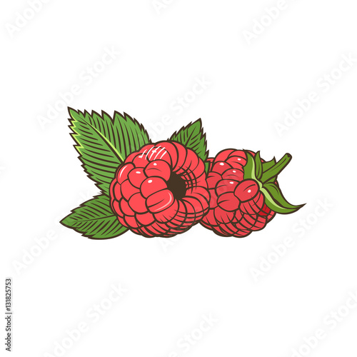 Raspberry in vintage style