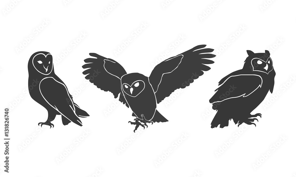 Fototapeta premium owl silhouettes on the white background