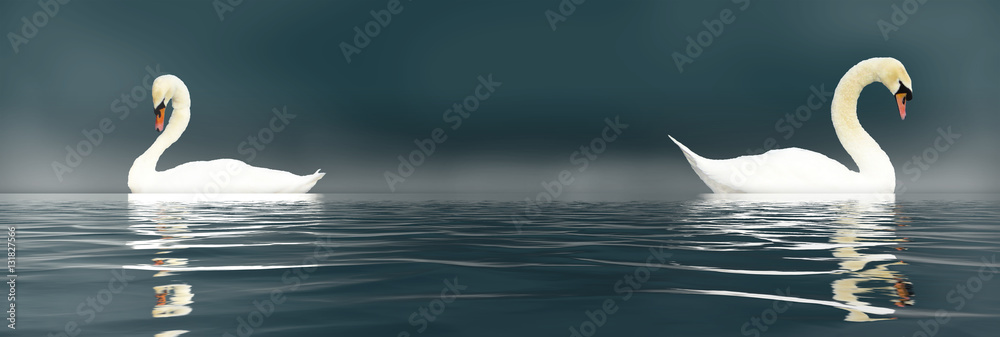 Obraz premium Love Swans
