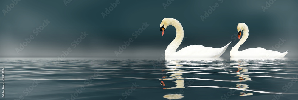 Obraz premium Love Swans