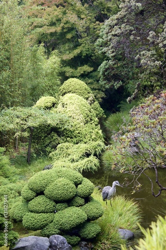 Heron in japanese tea garden