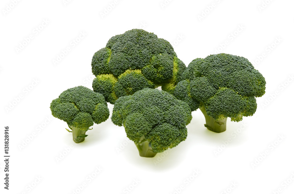 fresh broccoli on the white background fresh broccoli on the white background