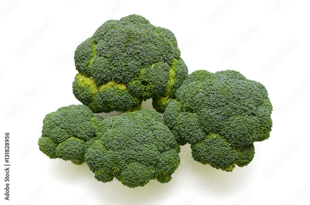 fresh broccoli on the white background fresh broccoli on the white background