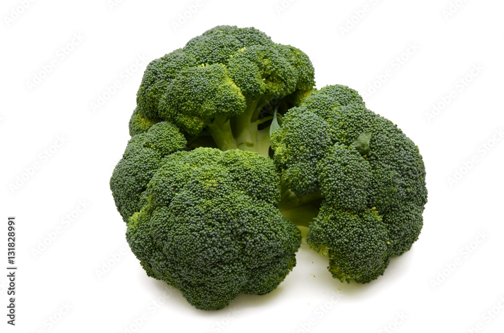 fresh broccoli on the white background fresh broccoli on the white background