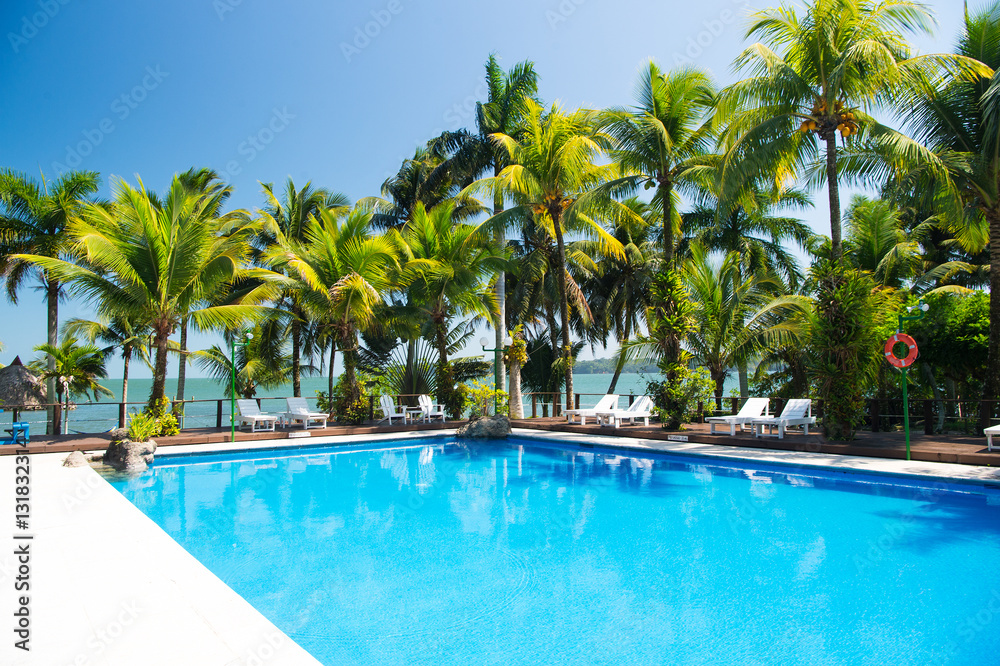 water pool and palm trees